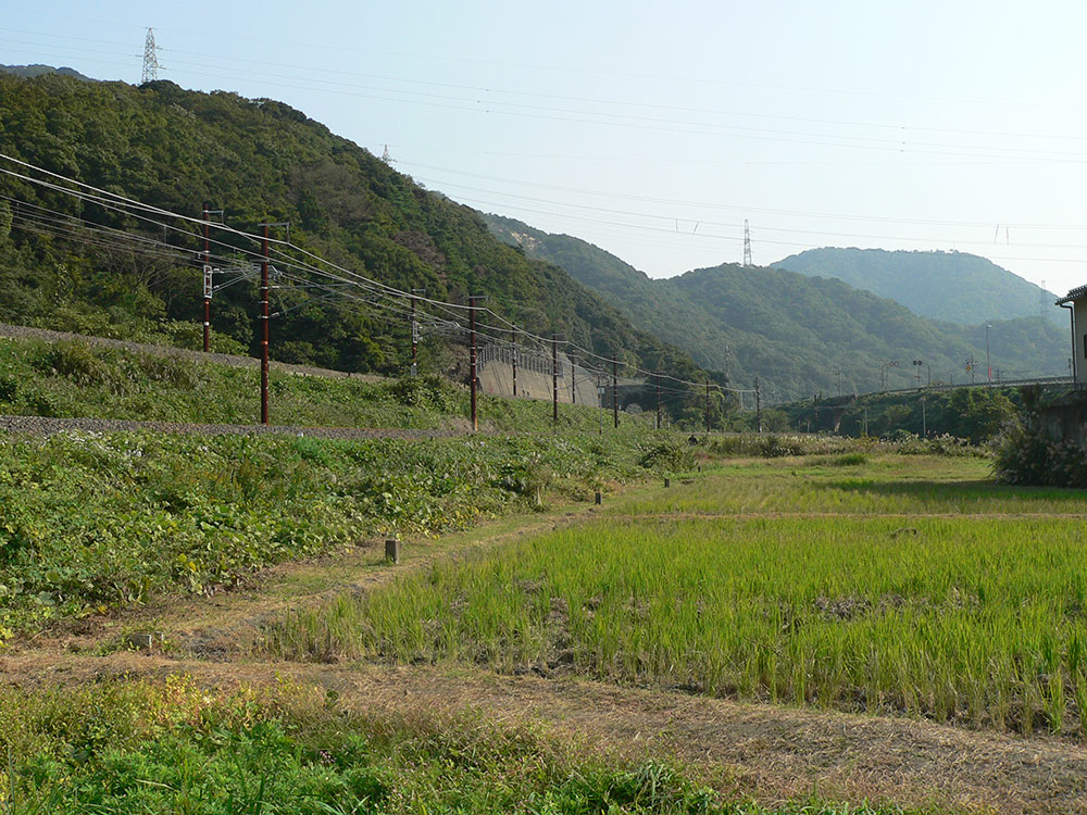 有名撮影地・ダンロップカーブ